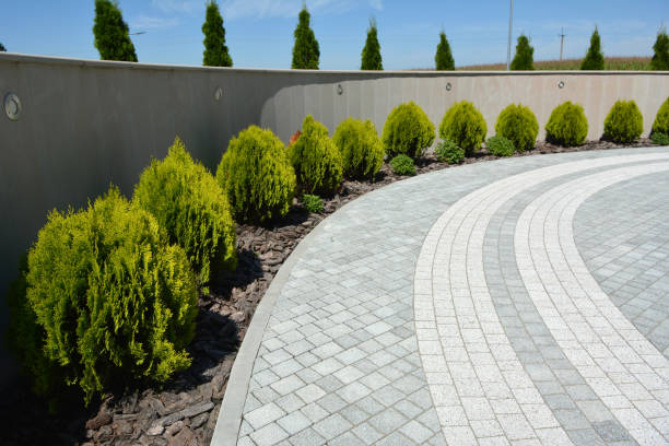Best Local Driveway Pavers  in Amelia, LA